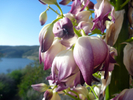 photo thumbnail #8