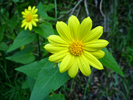 photo thumbnail #13