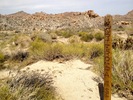 photo thumbnail #5