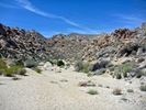 photo thumbnail #6