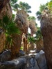 photo thumbnail #10
