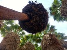 photo thumbnail #11