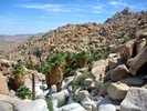 photo thumbnail #12