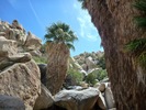 photo thumbnail #13
