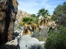photo thumbnail #14