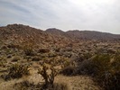photo thumbnail #3