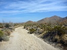 photo thumbnail #4