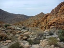 photo thumbnail #6