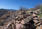 photo thumbnail #3