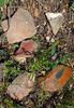 photo thumbnail #15