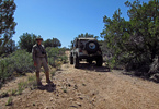 photo thumbnail #4