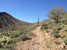 photo thumbnail #6