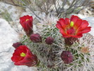photo thumbnail #8