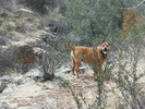 photo thumbnail #5