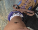 photo thumbnail #7