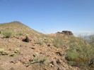photo thumbnail #8