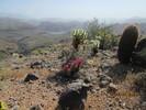 photo thumbnail #15