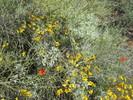 photo thumbnail #14