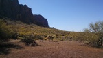photo thumbnail #1