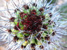 photo thumbnail #1