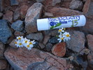 photo thumbnail #3