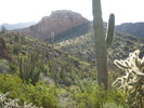 photo thumbnail #5