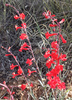photo thumbnail #15