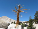 photo thumbnail #10