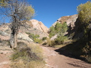 photo thumbnail #6