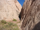 photo thumbnail #8