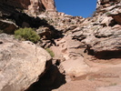 photo thumbnail #14