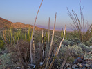 photo thumbnail #9