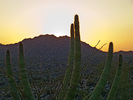 photo thumbnail #11
