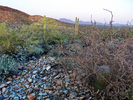 photo thumbnail #13