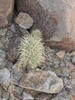 photo thumbnail #11
