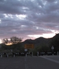 photo thumbnail #13