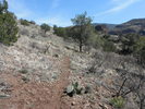 photo thumbnail #10