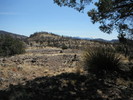 photo thumbnail #12