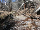 photo thumbnail #13