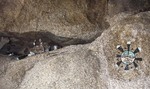 photo thumbnail #6