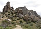 photo thumbnail #10