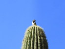 photo thumbnail #8