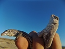 photo thumbnail #5