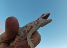 photo thumbnail #10