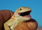 photo thumbnail #13