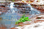 photo thumbnail #4