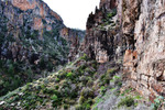 photo thumbnail #11