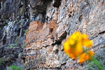 photo thumbnail #14