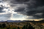 photo thumbnail #7