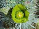 photo thumbnail #10